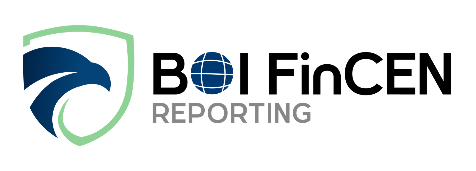 Boifincenreporting