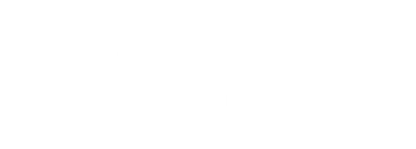 Boifincenreporting